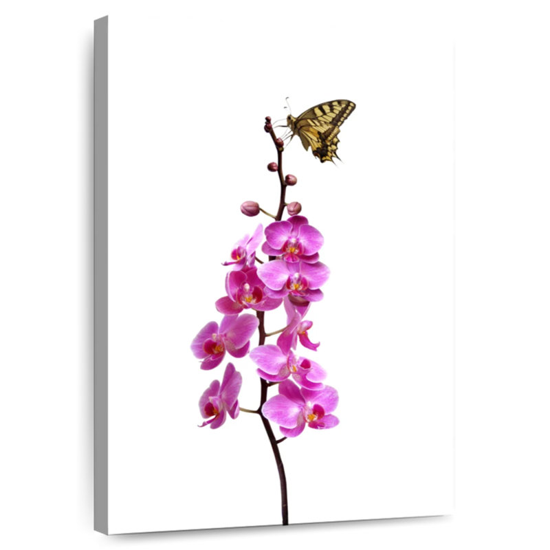 Papillon Brampt sur une tige d'orchidée, H 48 po x l 32 po