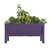 Aubergine est en rupture de stock