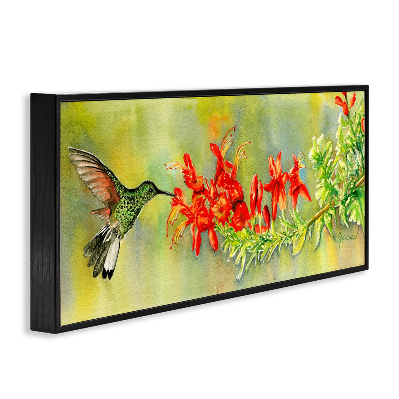 «Quick Sip Hummingbird», art de la giclée encadrée par Christine Reichow, Noir, H 13 po x l 30 po