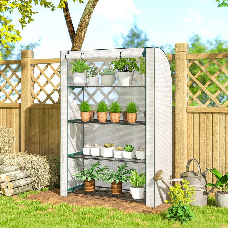 Mini Greenhouse