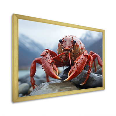 " Crayfish Monochrome Landscape Photography I "