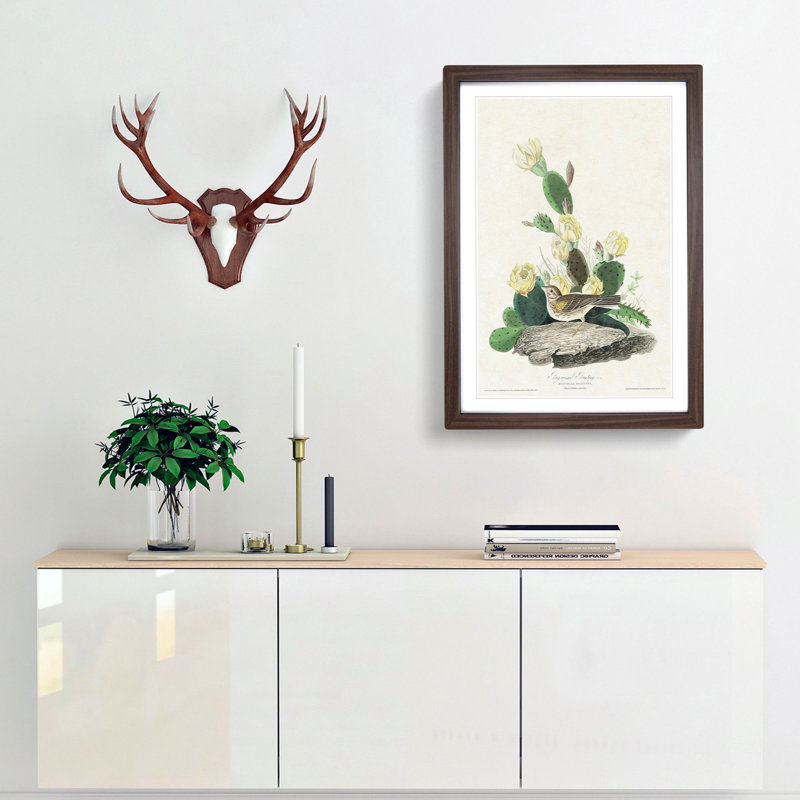 Grass Finch Bird by John James Audubon - Picture Frame Art Print, Walnut Framed, 36cm H x 27cm W x 2cm D