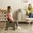 ECR4Kids Stackable Wooden Toddler Chair, 10in, Montessori Furniture, 2-Pack-100511064-100511059