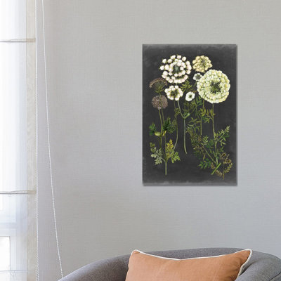 Bookplate Floral II by Naomi McCavitt - Wrapped Canvas Painting