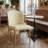 Orange Dining Chair Set Of 2, Modern Kitchen Chair Armless Faux Leather With Gold Metal Legs, Upholstered Dining Room Chairs For Living Reception Waiting Room Bedroom