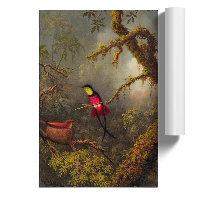 Hummingbird by Martin Johnson Heade - No Frame Print, 59cm H x 42cm W x 0.1cm D
