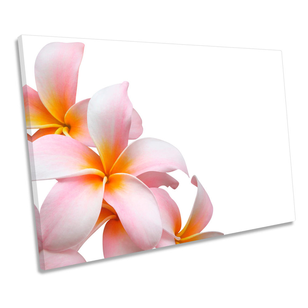 Ebern Designs Pink Frangipani Floral Flower Picture Canvas Wall Art ...