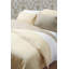 Plain Dye 200 TC Egyptian-Quality Cotton Cotton Solid Colour Duvet Cover-27425836-27425835