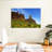 Alvord Cactus In Prospector's View-108912926