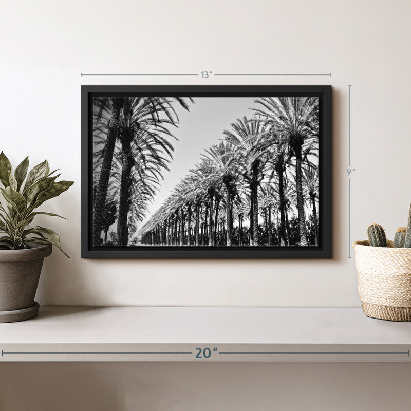 Faul Palms In Order Canvas Print, 9" H x 13" W