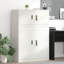 Storage Cabinet-316245319