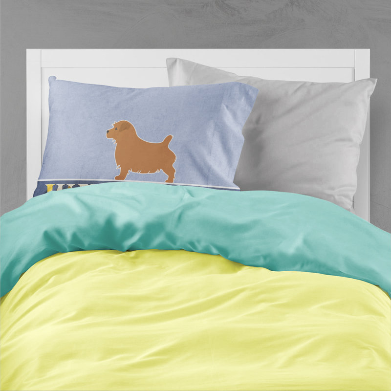 Microfiber, Norfolk Terrier