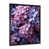 Black Single Picture Framed