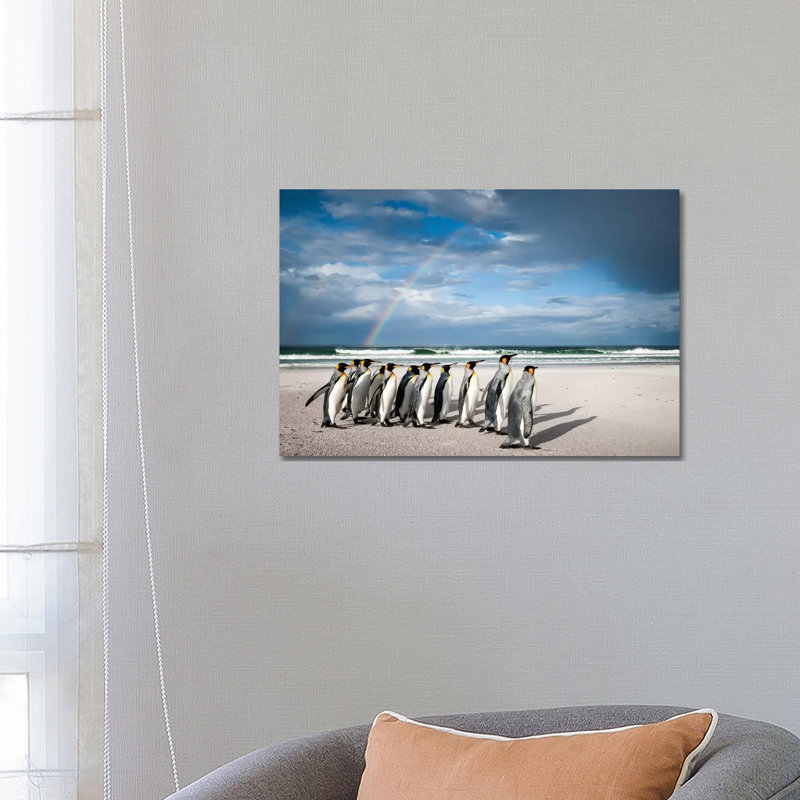 King Penguins On Beach Under Rainbow, Volunteer Beach, East Falkland Island, Falkland Islands I by Tui De Roy - Wrapped Canvas Print
