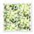 Cadre photo blanc