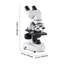 Microscope composé de jumelles, grossissement 40-2000X, microscope composé professionnel pour adulte avec adaptateur de téléphone, lumière DEL, corps en alliage d'aluminium, pour laboratoire, école, maison, éducation