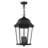 Heaney 3 - Light Outdoor Hanging Lantern