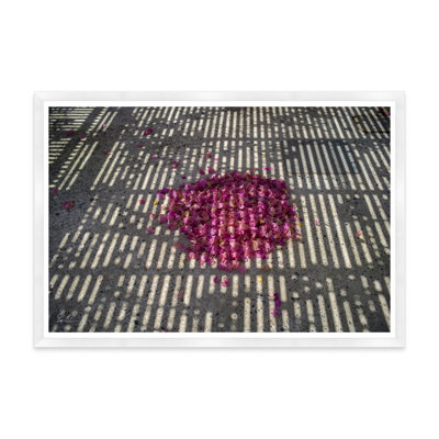 Bougainvillea Bundle par Tim Klein - reproduction de photo sur papier encadrée