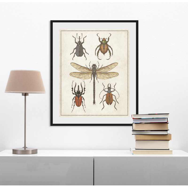 Kã¤fer - Single Picture Frame Print, 50 cm H x 60 cm W