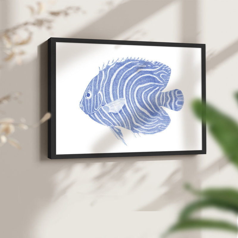 «Blue & White Tropical Fish II», reproduction encadrée, H 11 po x l 14 po, Noir, noir, noir, noir