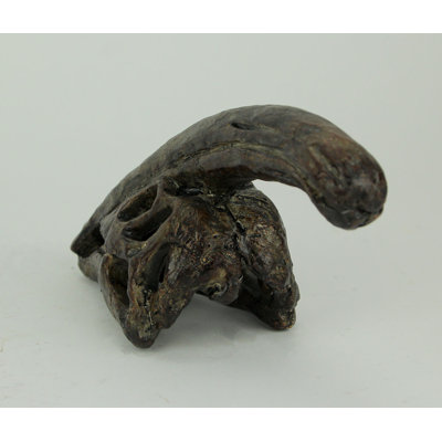 Statue de fossile de crâne de dinosaure Parasaurolophus d'inspiration musée, 8 pouces de large