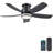 7233800 Vintage Indoor Ceiling Fan With Light, 52 I...