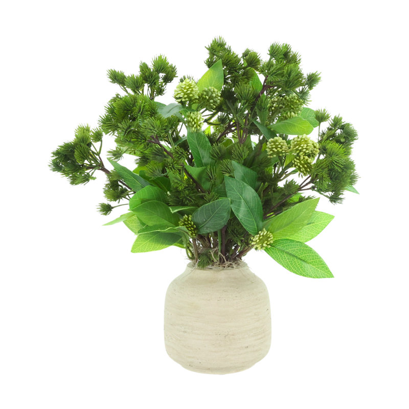 Pin Ming et Sedum dans un vase Fiberstone, Gray