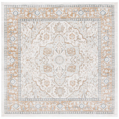 Aaydn Performance Oriental Rug