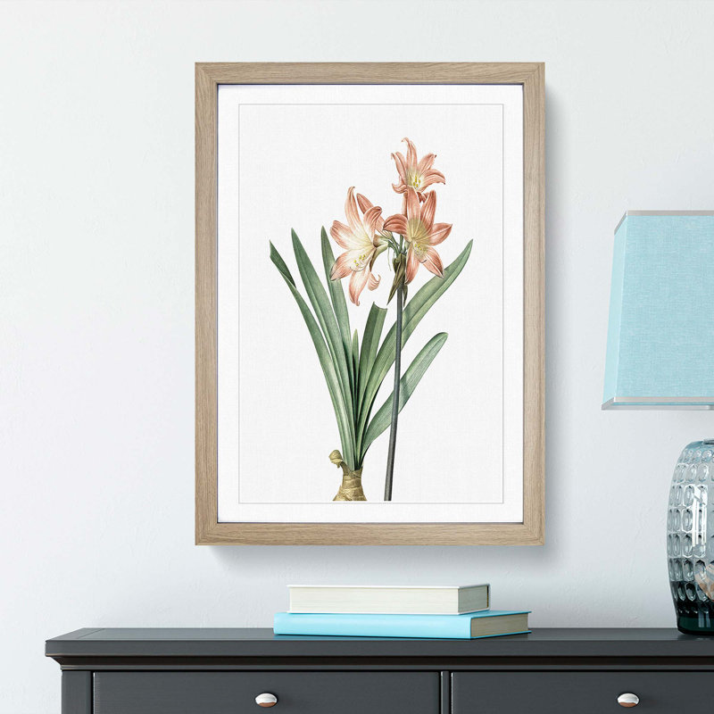 Amaryllis Flowers In Pink by Pierre-Joseph Redoute - Single Picture Frame Painting, 63cm H x 45cm W x 2cm D, Oak Framed