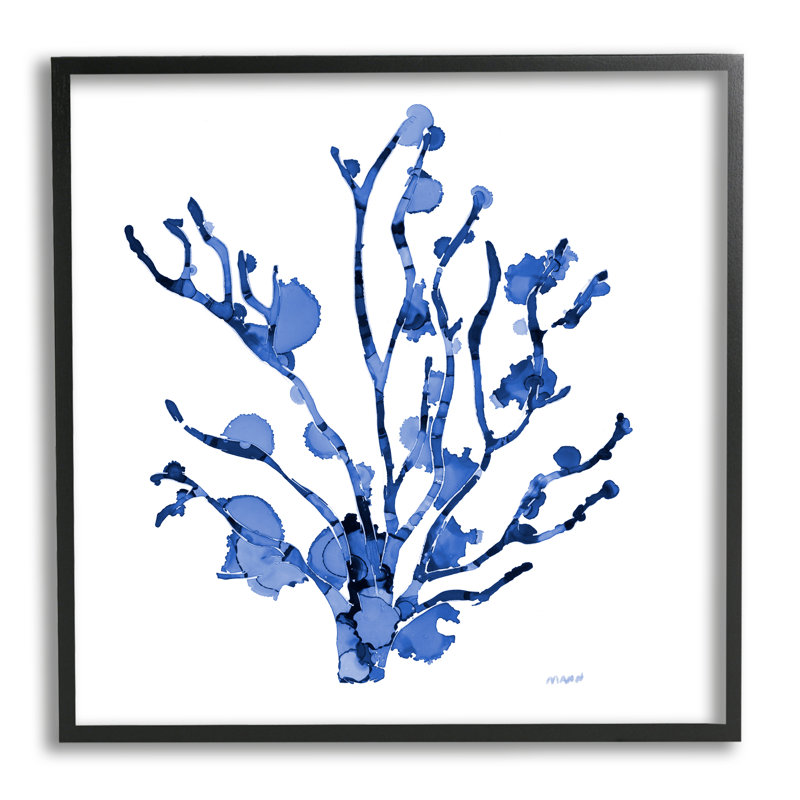 Détail de la vie marine de corail, Giclée encadrée noir minuit, H 12 po x l 12 po x P 1,5 po