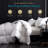  All Season Feather Down Comforter/ Duvet Insert-1378694063