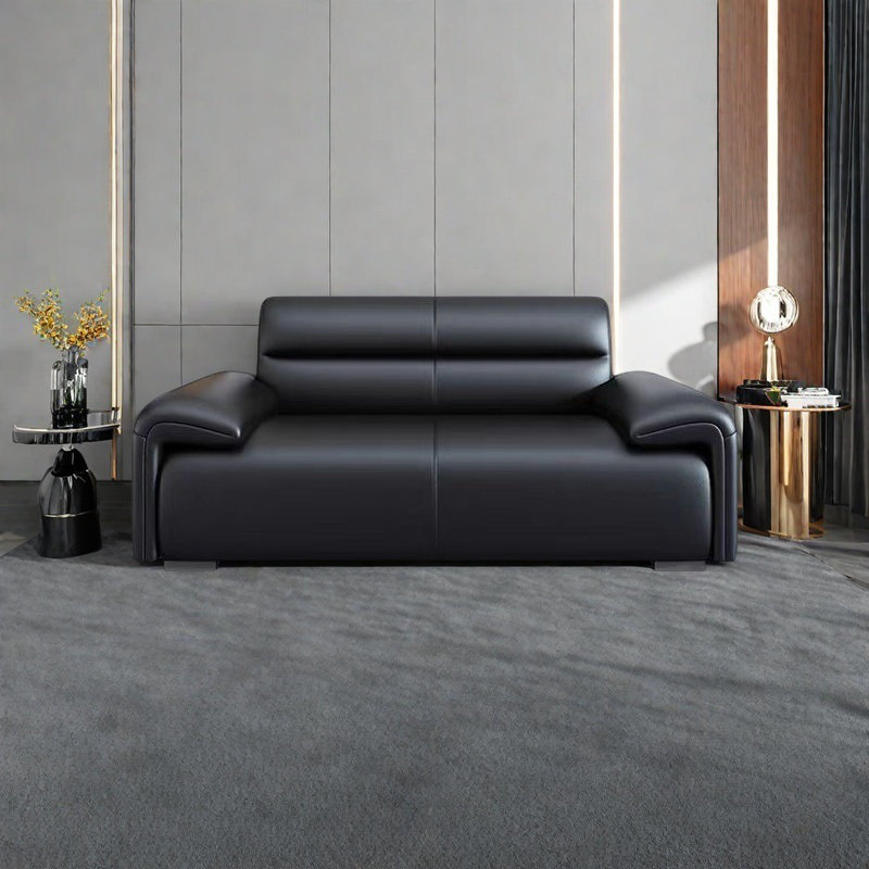 Modern elegant beautiful business sofa