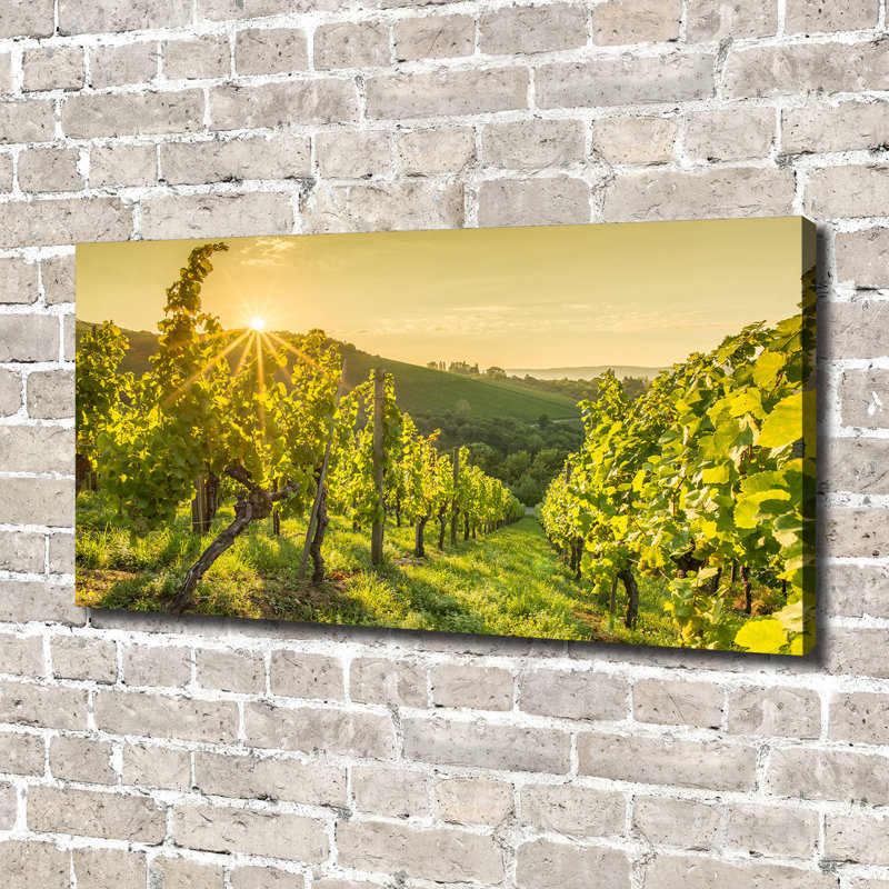Vineyard - Wrapped Canvas Print