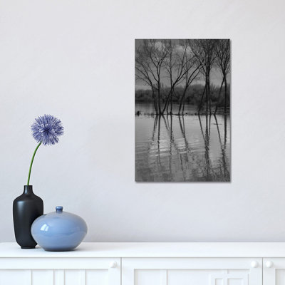 Entwined Reflections 1 Piece Wrapped Canvas Wall Art