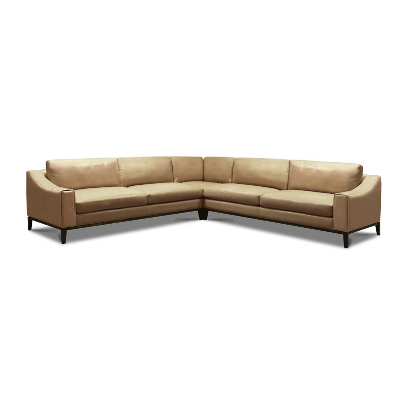 Canapé modulaire en cuir Rodeo, SoftTouch naturel, Espresso