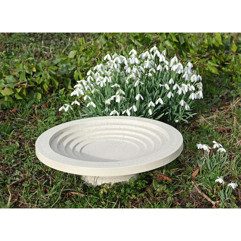 Rosvita Plastic / Acrylic Single Tier Birdbath