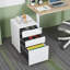 Rangement de rangement 15,35 po Mayhue-429810598