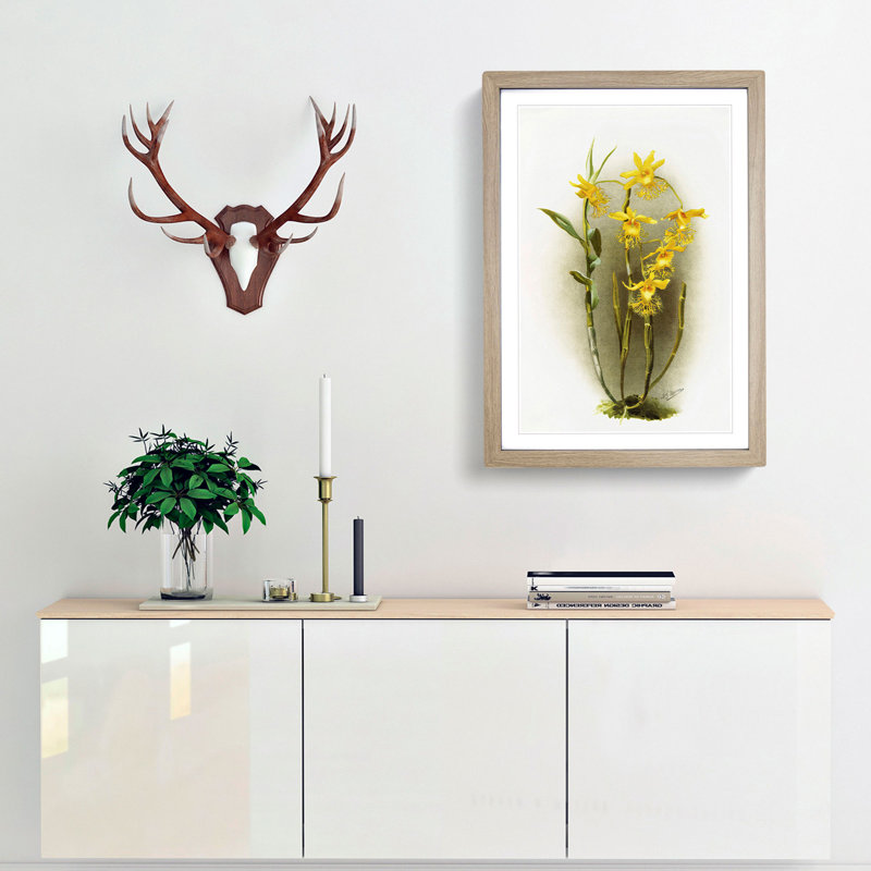 Magnolia Flowers Illustration Tab. 92 by Frederick Sander - Picture Frame Painting Print, 91cm H x 60cm W x 2cm D, Oak