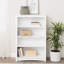Bibliothèque standard H 48 "x l 31,5" Alyrah-1699848846
