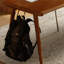 Bureau rectangulaire très pratique et exquis-2072837198