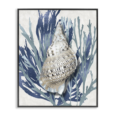 «Shell Coral Blue Beach» par Caroline Kelly - reproduction d'art