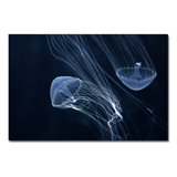 Jelly Fish Parade Two Print