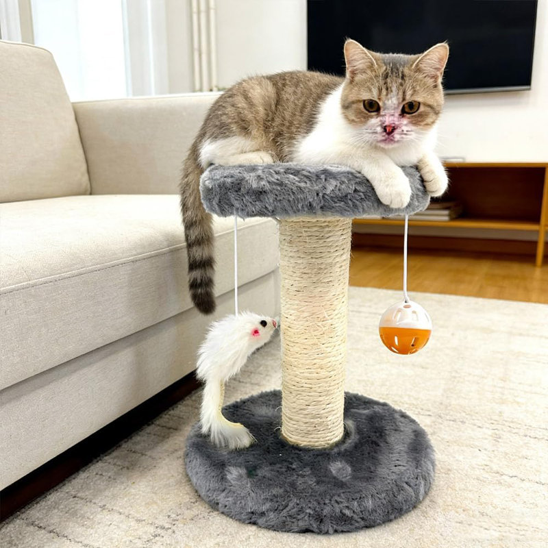 Scratching Post