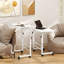 Bureau debout mobile à hauteur réglable, bureau debout, blanc-218631674