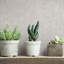 Kumano Textured Plaster Wallpaper Roll-958119830