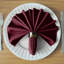 Burgundy Table Napkins 10-Pack | 19x19 Inch 180gsm Polyester | Luxury Soft & Absorbent | Machine Washable Wedding & Party Dinner Napkins-1535331660