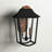 Burton 2-Light Outdoor Wall Lantern