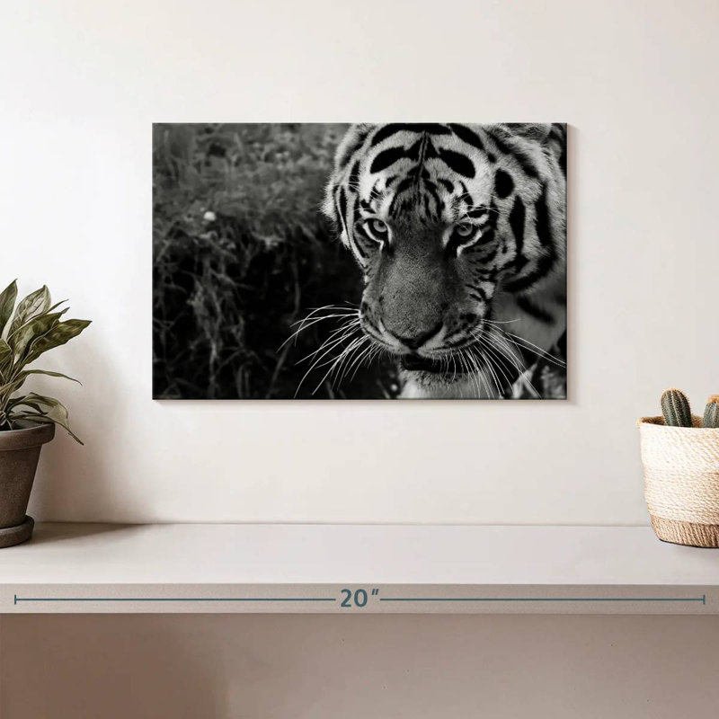 Brampt Black And White Tiger, 8" H x 12" W