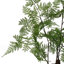 150 cm H Faux Plant-2028658795