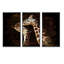 Portrait of Two Giraffes Kissing I - 3 pièces, reproduction sur toile-2084744874-2084744853